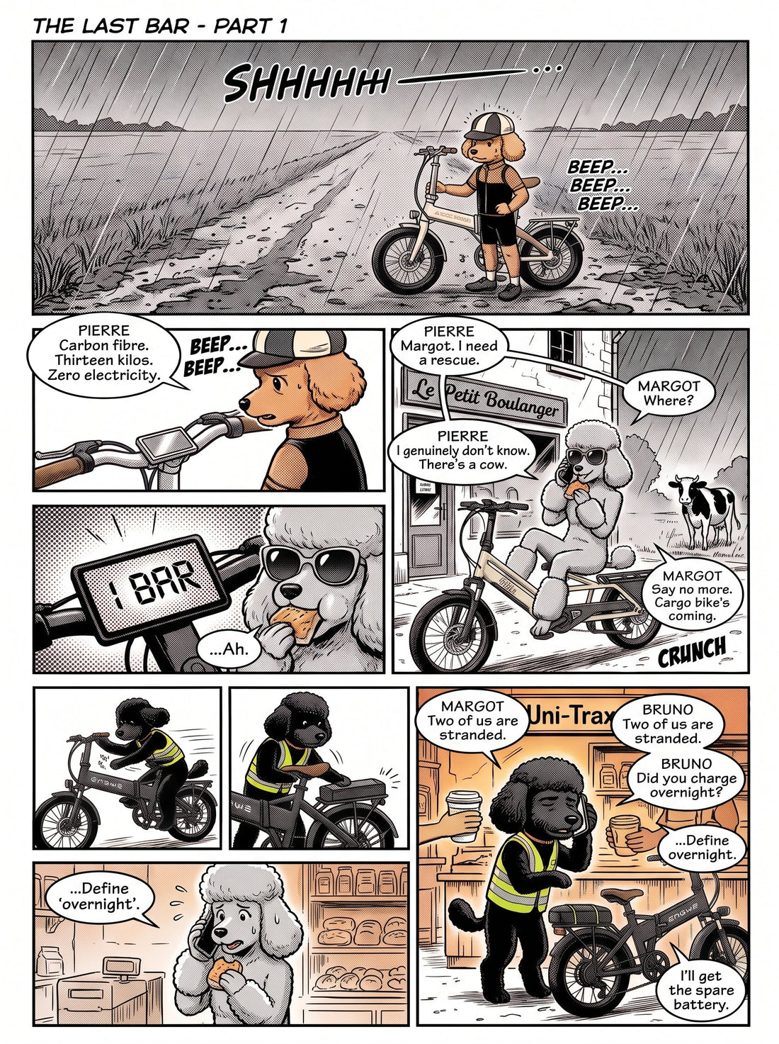 The Last Bar: What Three Stranded Poodles Taught Us About E-Bike Batteries