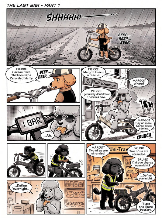 The Last Bar: What Three Stranded Poodles Taught Us About E-Bike Batteries
