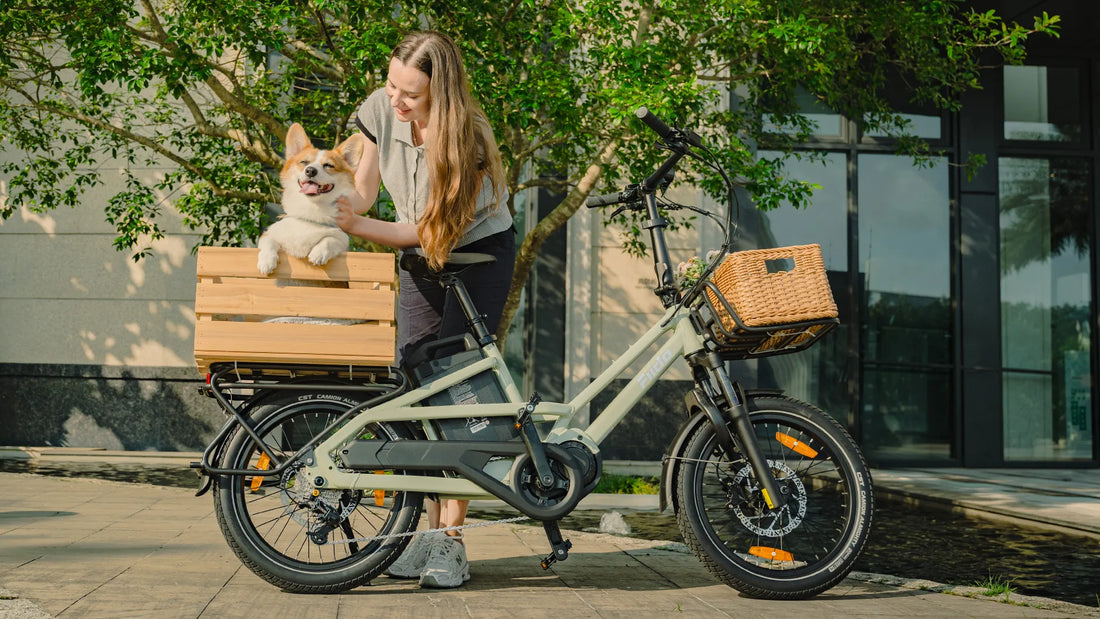 Now Live at Uni-trax: 3 New Fiido E-Bikes — Nomads Pro, T3 & T3 Max