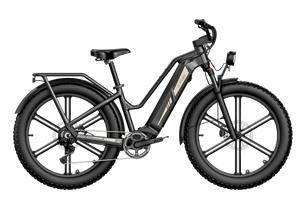 Fiido Titan Fat Tire Hunting and Touring Ebike - Long Range