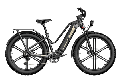 Fiido Titan Fat Tire Hunting and Touring Ebike - Long Range
