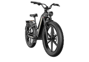 Fiido Titan Fat Tire Hunting and Touring Ebike - Long Range