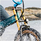 Fiido M1 Pro Fat Tire Electric Bike