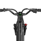 Fiido Titan Fat Tire Hunting and Touring Ebike - Long Range