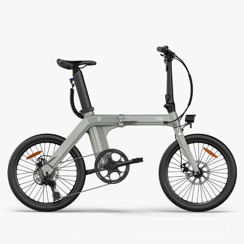 Fiido D11 Folding E-bike