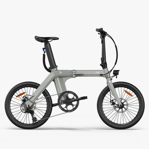 Fiido D11 Folding E-bike
