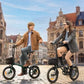 NEW! ENGWE Zip Combo 250W Lightweight 120 kg Max Load Torque Sensor Folding E-bike