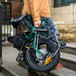 NEW! ENGWE Zip 250W Lightweight 120 kg Max Load Torque Sensor Folding E-bike