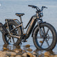 Fiido Titan Fat Tire Hunting and Touring Ebike - Long Range