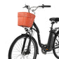 DYU C6 26 Inch City Electric Bike