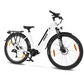 Eskute Polluno Pro eBike in white with visible branding and frame design.