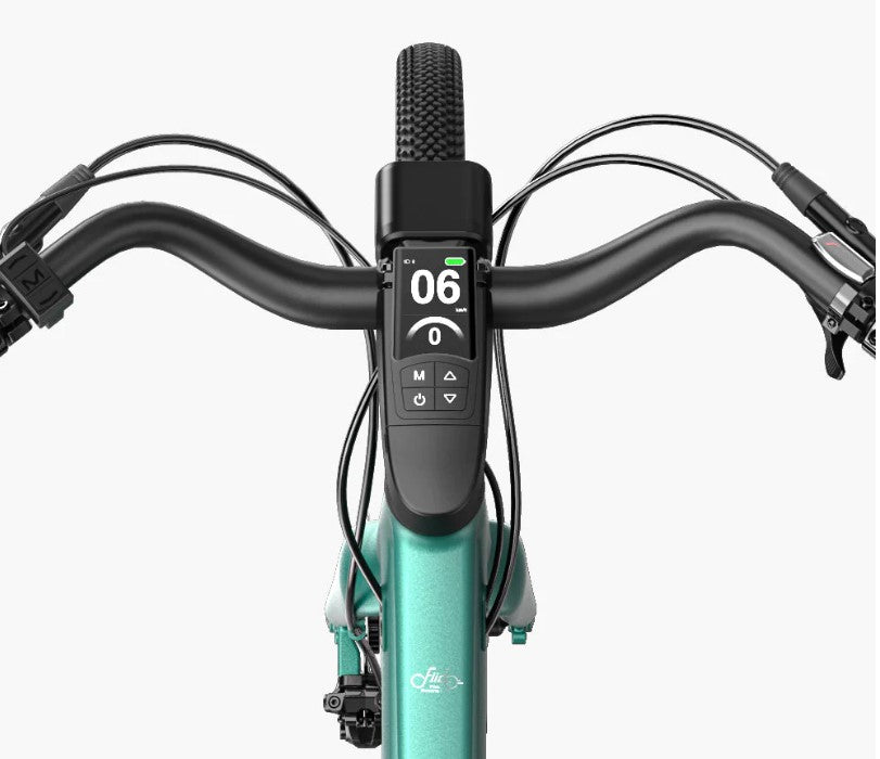 Fiido C22 eBike's handlebars with digital display and control buttons.