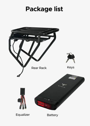 Rear Rack Battery