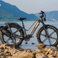 Fiido Titan Fat Tire Hunting and Touring Ebike - Long Range