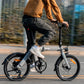 Fiido D11 Folding E-bike