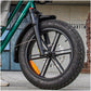 Fiido T2 Longtail Cargo E-bike