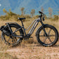Fiido Titan Fat Tire Hunting and Touring Ebike - Long Range