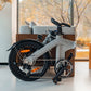 Fiido D11 Folding E-bike