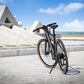 Fiido C21 E-Gravel & City E-Bike