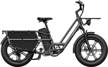 Fiido T2 Longtail Cargo E-bike