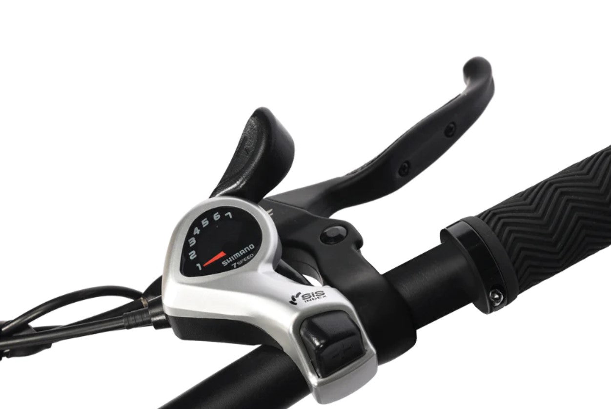 Close-up of Eskute Polluno's handlebar with gear shifters and brake levers.