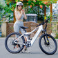 XD26-II Hybrid Electric Bike