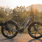 Fiido Titan Fat Tire Hunting and Touring Ebike - Long Range