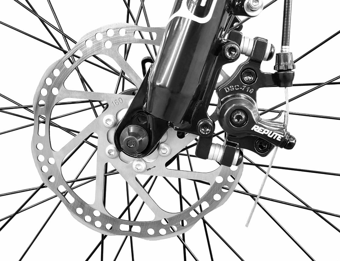 Detailed view of Eskute Polluno eBike's disc brake and front wheel assembly.