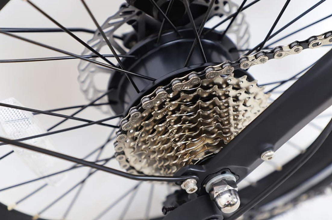 Macro shot of the Eole S electric bike's gear cassette and rear wheel, emphasizing the quality of components.