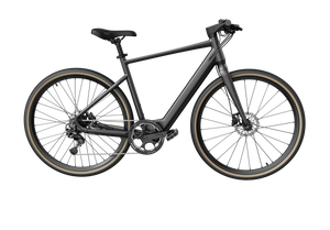 Fiido C21 E-Gravel & City E-Bike