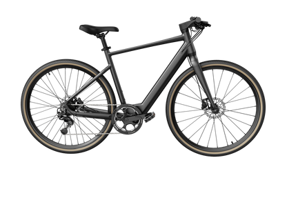 Fiido C21 E-Gravel & City E-Bike