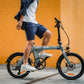 Fiido D11 Folding E-bike