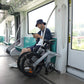 Fiido D11 Folding E-bike