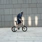 Fiido D11 Folding E-bike