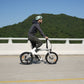 Fiido D11 Folding E-bike