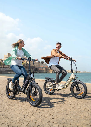 L20 3.0 Boost Combo 250W 75Nm Boost Power Full Suspension Compact E-bike
