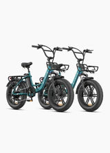 L20 Boost Combo 250W 126KM 25KM/H Power-boost Torque Sensor Step-Thru E-bike