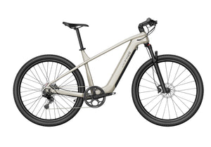 Fiido Nomads Touring E-bike