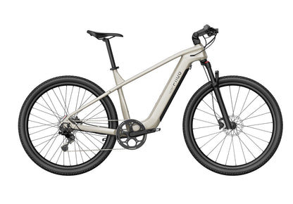 Fiido Nomads Touring E-bike