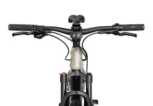 Fiido Nomads Touring E-bike