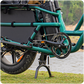Fiido T2 Longtail Cargo E-bike