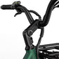 Fiido T2 Longtail Cargo E-bike