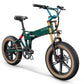 Fiido M1 Pro Fat Tire Electric Bike
