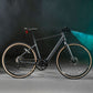 Fiido C21 E-Gravel & City E-Bike