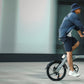 Fiido D11 Folding E-bike