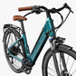 Fiido C11 Pro City E-Bike
