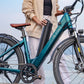 Fiido C11 Pro City E-Bike