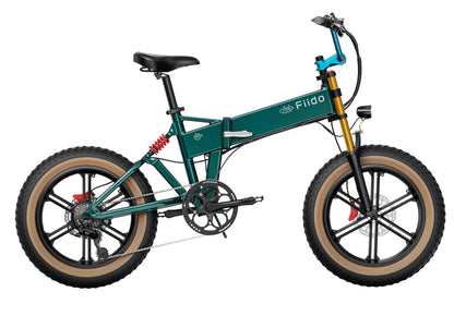 Fiido M1 Pro Fat Tire Electric Bike