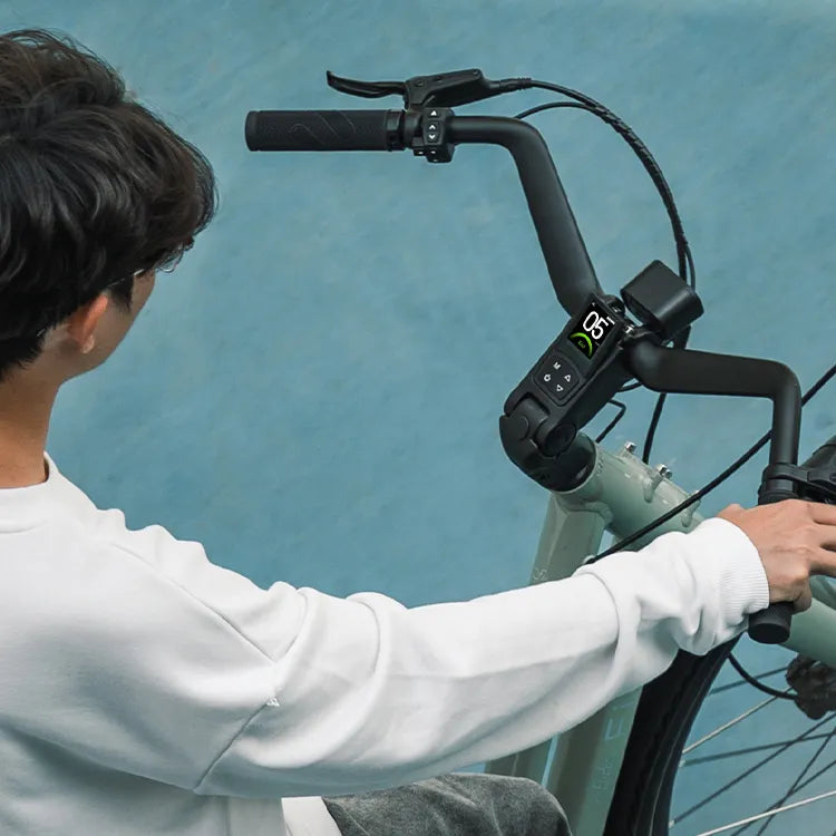Advanced E-Bike Display