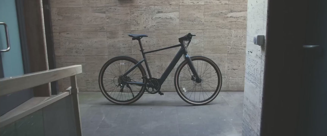 fiido e-gravel c21 electric bike Fiido C21 E-Bike